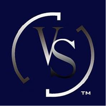 Virtual Space LLC Logo